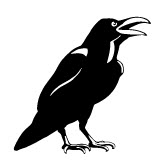 Poes Raven